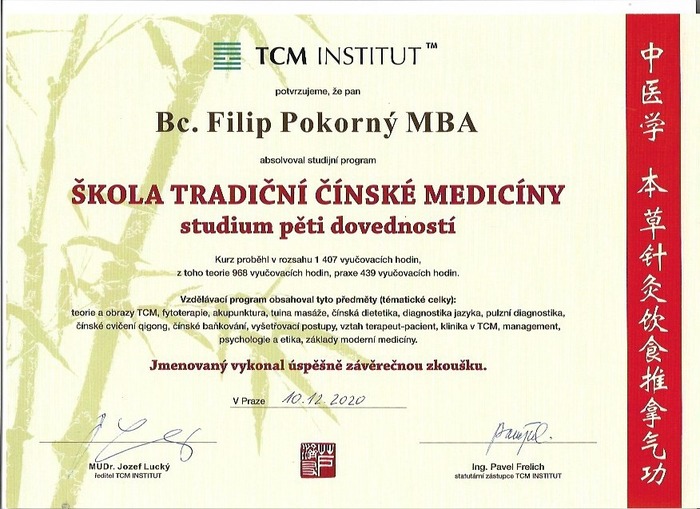 Tradiční čínská medicína — TCM Institut Praha