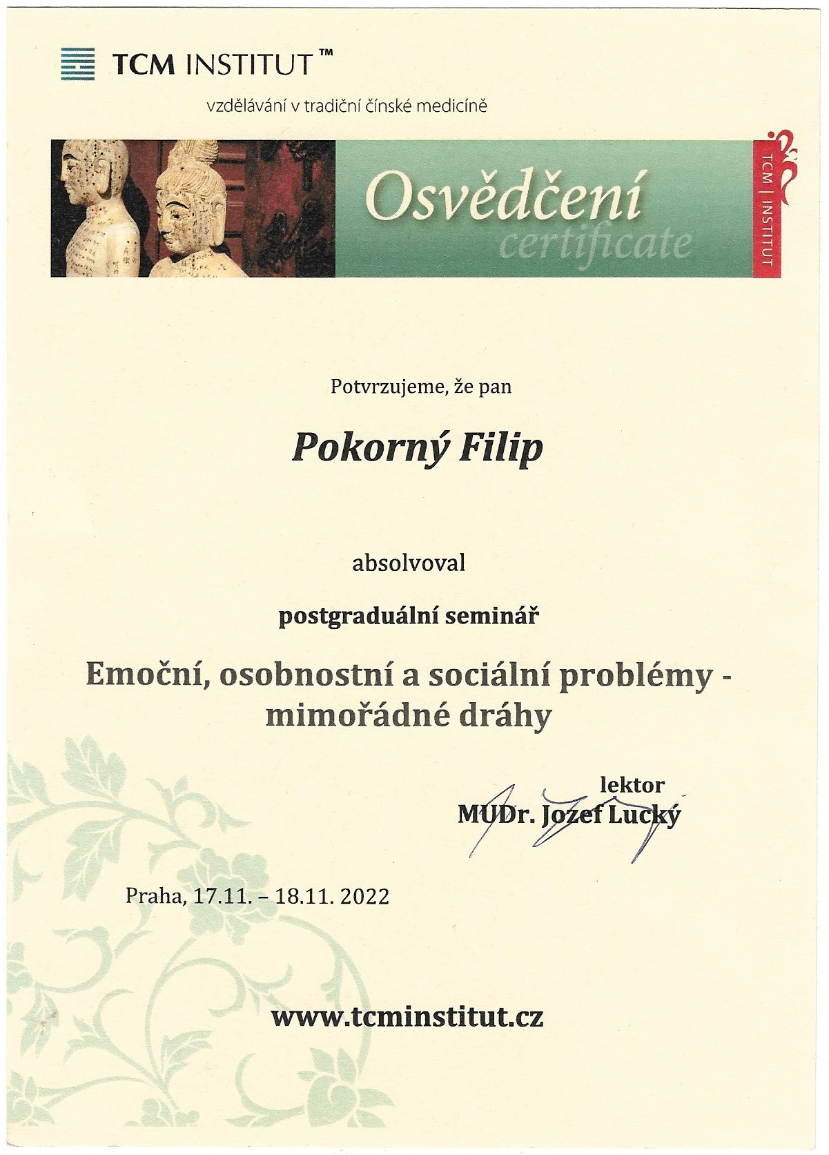 Emoční, osobnostní a sociální problémy — mimořádné dráhy — TCM Institut — postgraduální seminář